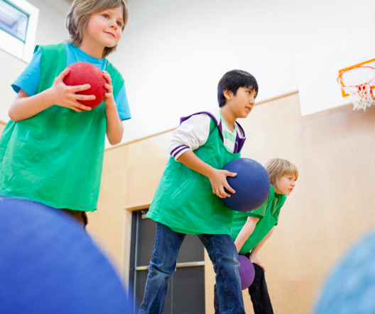The Importance of a Holistic Approach to Health and Wellness for Students